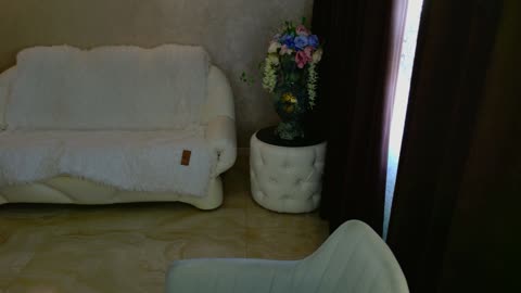 amandagrasy — BongaCams 直播模特：照片与资料