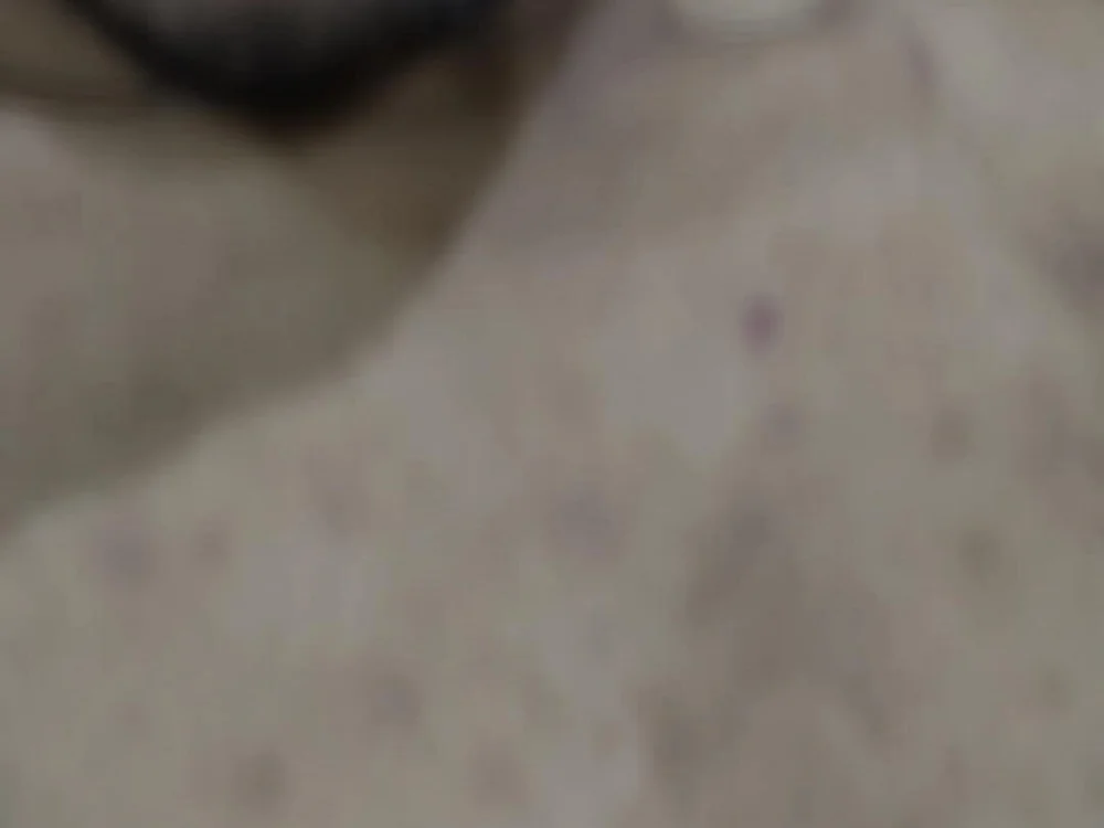 Rohan_200219 — Stripchat वेबकैम मॉडल: फ़ोटो