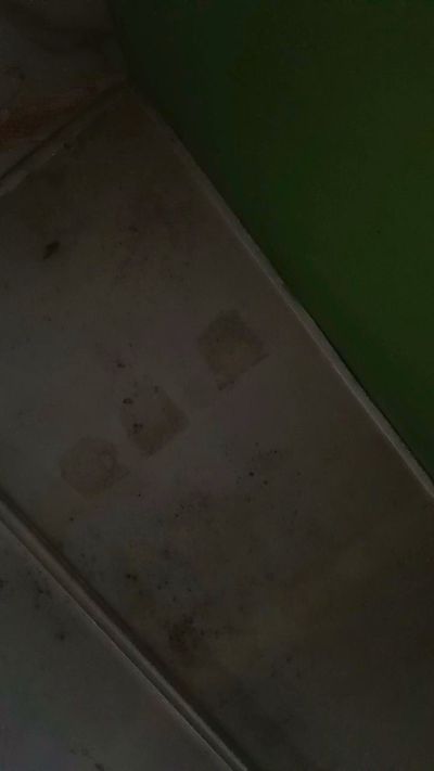 franch_xxx – Cam4 modeli, fotoğraflar