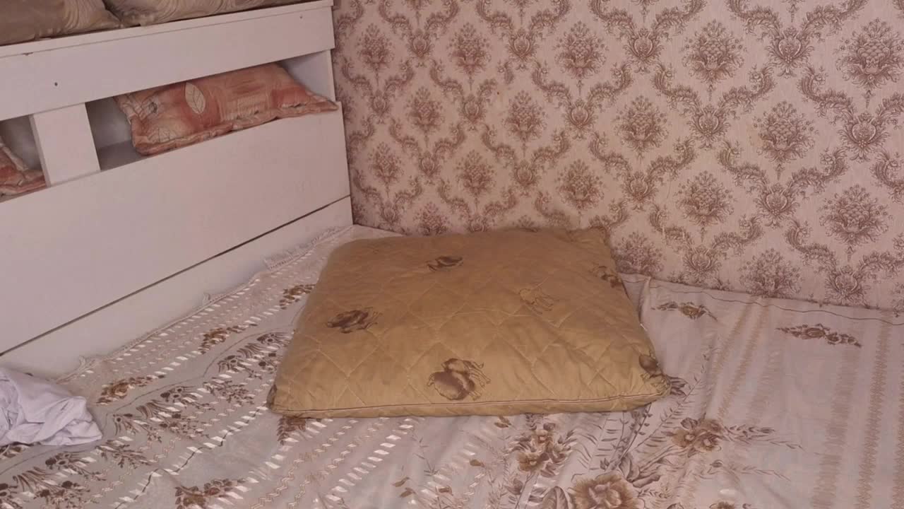 vinitabartolomei บน XloveCam: รูปภาพและโปรไฟล์