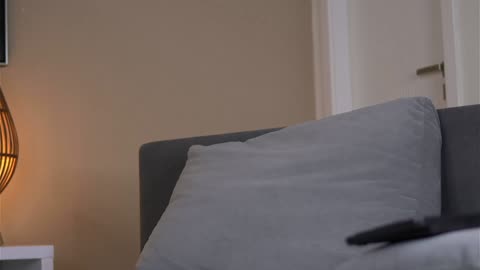 tsgisele, model webcam pe BongaCams: poze