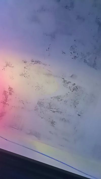 daddyslut4u, webcammodel på Cam4: fotos