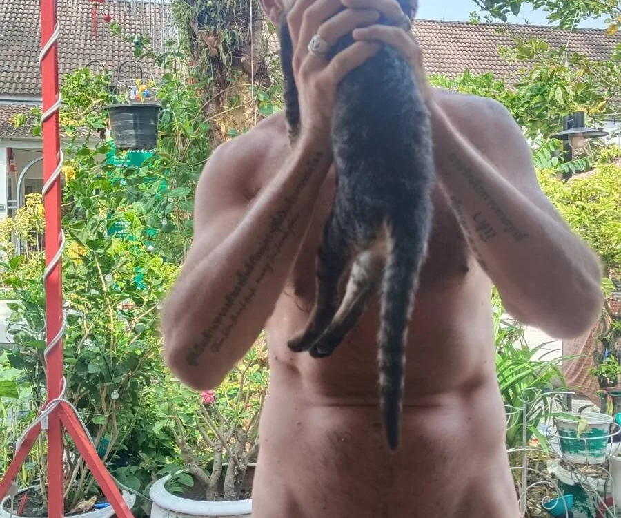 Laurent000000 (Stripchat): foto un profils