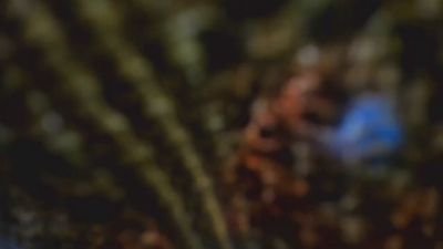 samanta_mature di Cam4: foto model webcam