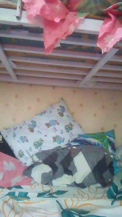 wildlady – Webcam-Modell auf Cam4