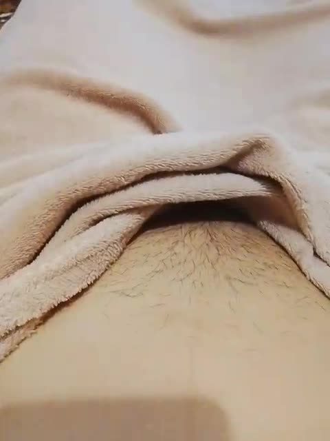 bulochka733, modèle webcam BongaCams : photos