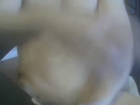 cutemuscledanaconda, вебкам модел на BongaCams: слике