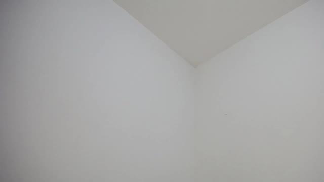 pamela_black_bigcock, modelo webcam do Chaturbate: fotos