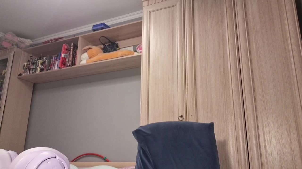 sheadeslauriers, webcammodell på XloveCam: bilder