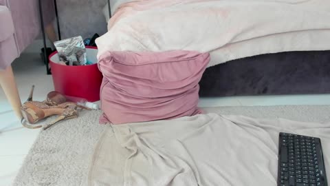 erikabeee1, cam model su BongaCams: foto