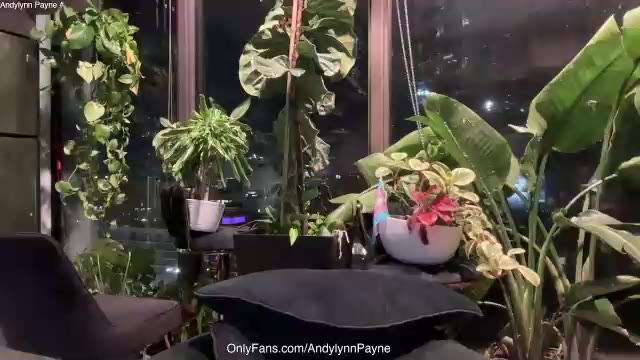 andylynnpayne — Chaturbate ওয়েবক্যাম মডেল: ছবি