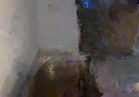 nasty-lilly — BongaCams 直播模特:照片与资料