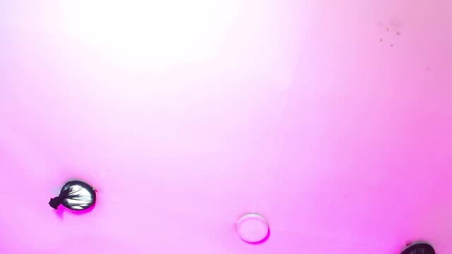 jenntylor — XloveCam 直播模特：照片与资料