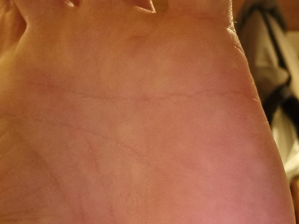 0815lukas2024 — Stripchat 直播模特：照片与资料