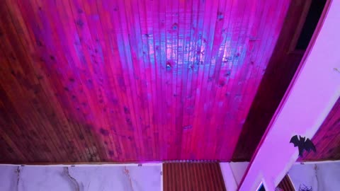 valerysalazar — BongaCams वेबकैम मॉडल: फ़ोटो