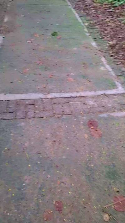 tania__honey: عارضة كاميرا ويب على Cam4
