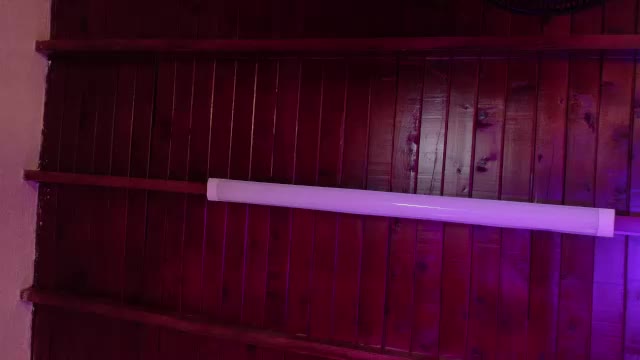 jennifervega1, webcam-malli (Chaturbate): kuvat