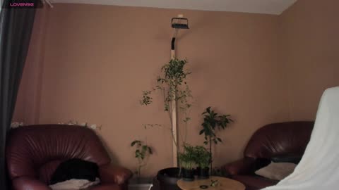 Preview photo of webcam model kaylalaine1 on BongaCams