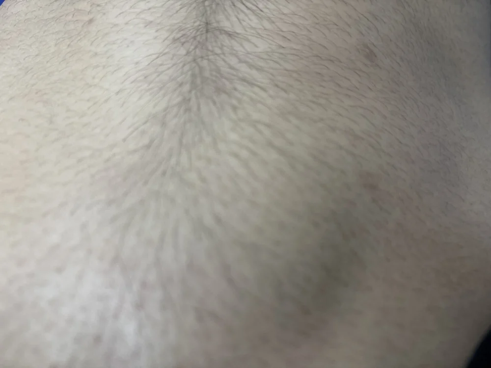 phussyfucker na Stripchat: slike in profil