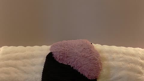 anaayss — BongaCams: ფოტოები და პროფილი