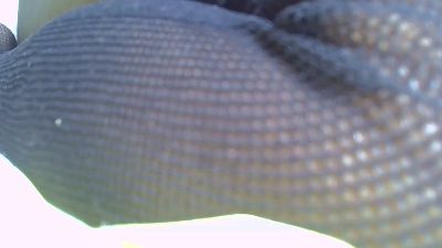 corallove1 (Cam4): ảnh người mẫu webcam