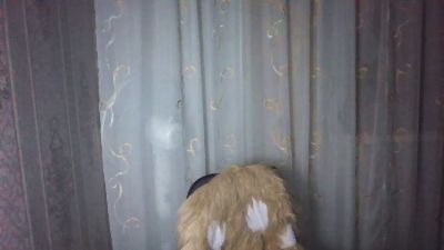 emilia55 – Cam4 webkamerás modell