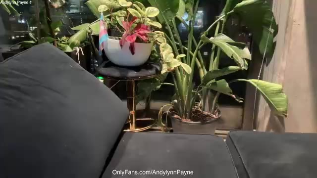 andylynnpayne – уебкам модел в Chaturbate: снимки