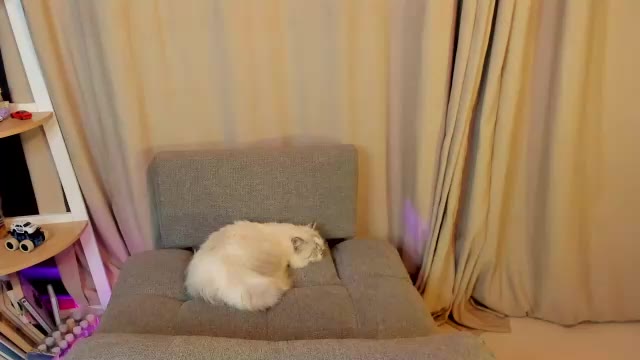 miasulivan — Chaturbate: ფოტოები და პროფილი