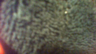 allblond1, μοντέλο webcam στο Cam4