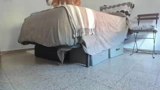 aguslover na Chaturbate: fotky a profil
