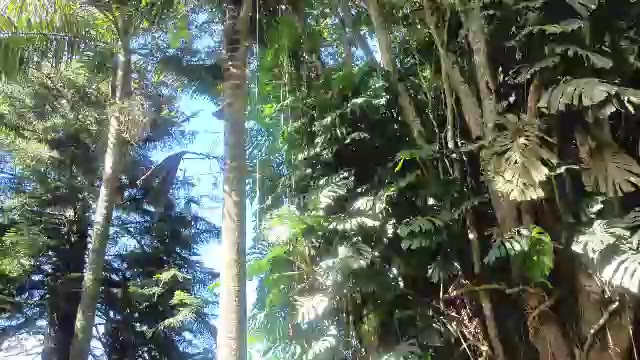 lunaluxe1001 — Chaturbate: ფოტოები და პროფილი