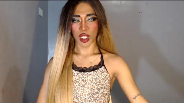 tsblackhorsecockcalix (Chaturbate): nuotraukos, profilis