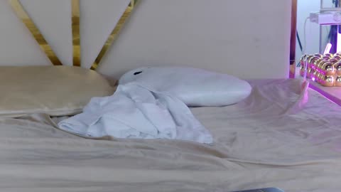 zenaidabelmont – BongaCams webkamerás modell