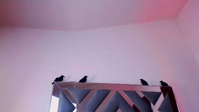 rossi_ss1_ (Cam4): foto un profils