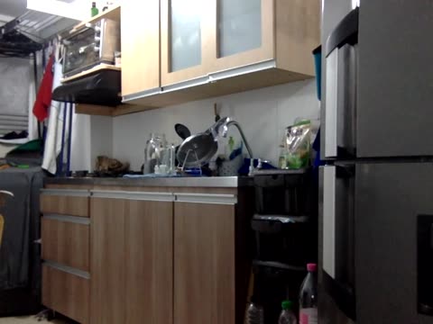 amadordavidm, webcammodell på BongaCams: bilder