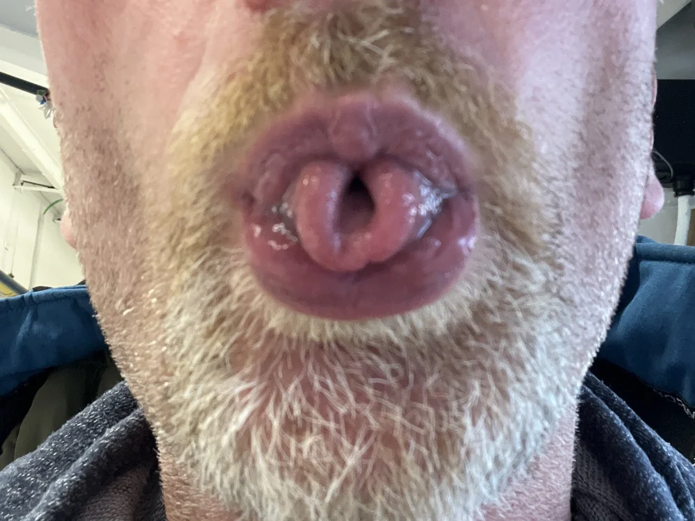 Preview photo of webcam model stevy4you on Stripchat