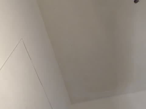eboni-hotboobs: عارضة كاميرا ويب على BongaCams