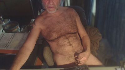 ptibear1, modelo webcam de Cam4: fotos
