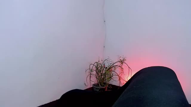 naughty_cutiepie: عارضة كاميرا ويب على Chaturbate