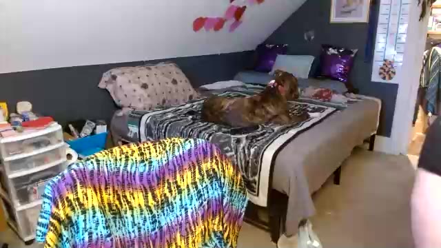 fionna_fineas, μοντέλο webcam στο Chaturbate