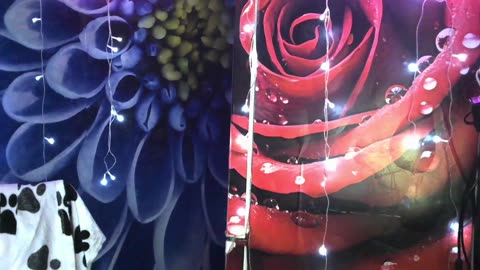 lilijjjjjjjjjjjjjjjjj90, model webcam pe BongaCams: poze