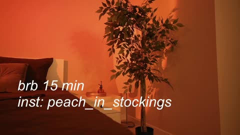 peachinstockings — BongaCams 直播模特：照片与资料