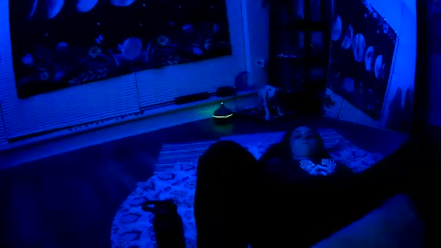 Preview photo of webcam model new__moon on Chaturbate