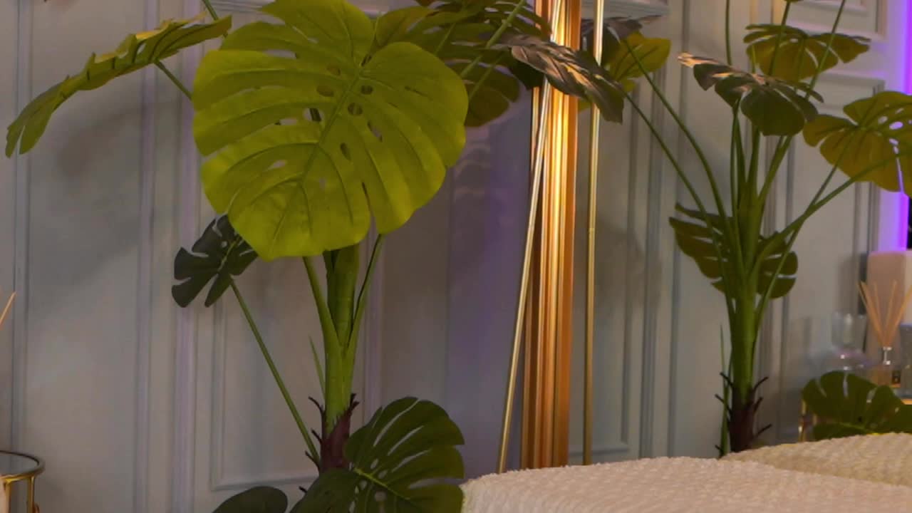 camillastarx — XloveCam 直播模特：照片与资料