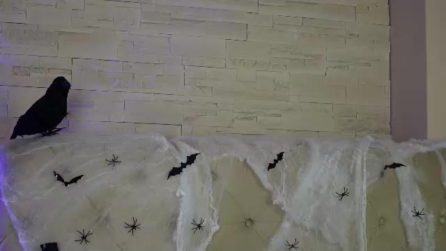 sara_sweetxx – уебкам модел в Chaturbate: снимки