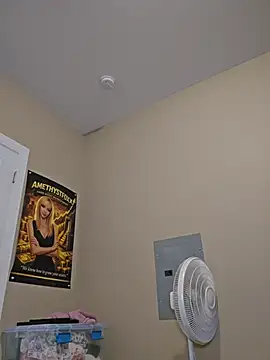 Preview photo of webcam model AmethystFoxx on Stripchat