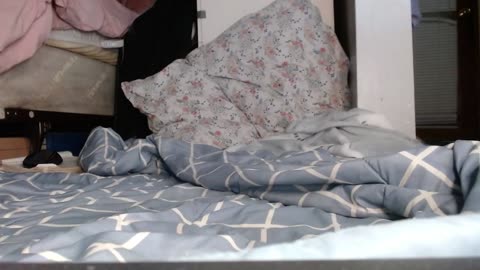 sweetnissapri บน BongaCams: รูปภาพและโปรไฟล์