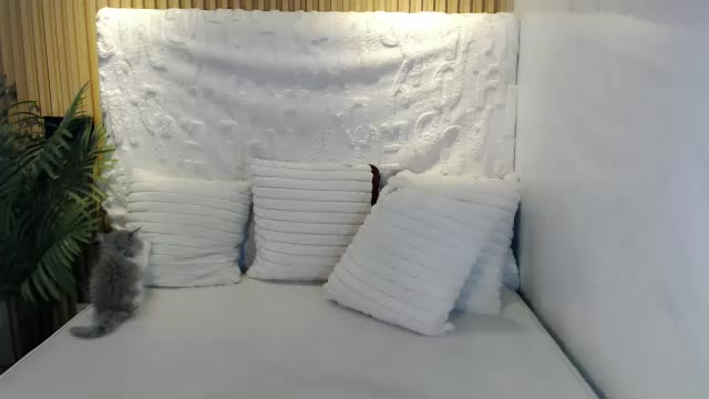 david_hardcock20 di Chaturbate: foto model webcam