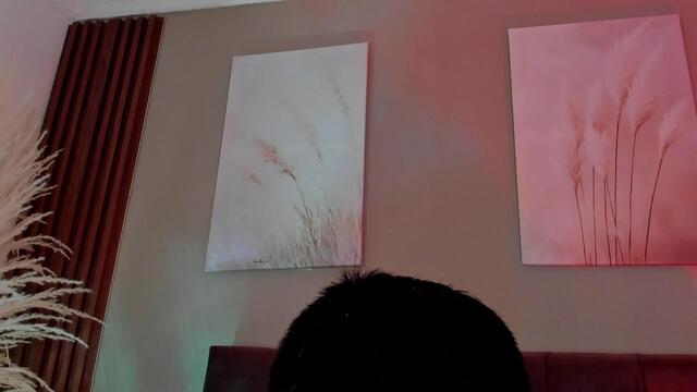 Preview photo of webcam model brian-kim on Flirt4Free