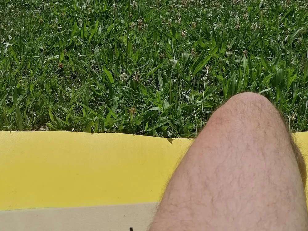 Preview photo of webcam model giobbe7 on Stripchat